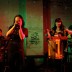 damosuzuki11