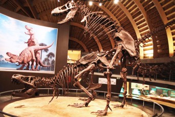 dinosex