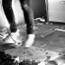 IMG_4529 IMG_4529