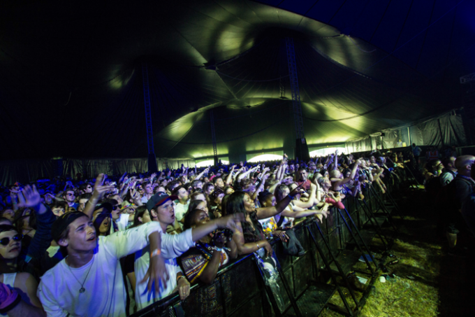 Wild Life Festival | Brighton Airport | Brighton Source