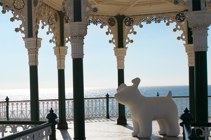 Snowdogs | Brighton Source