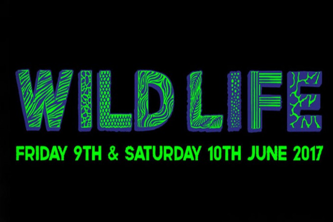 Wildlife Festival 2017 | Brighton Source