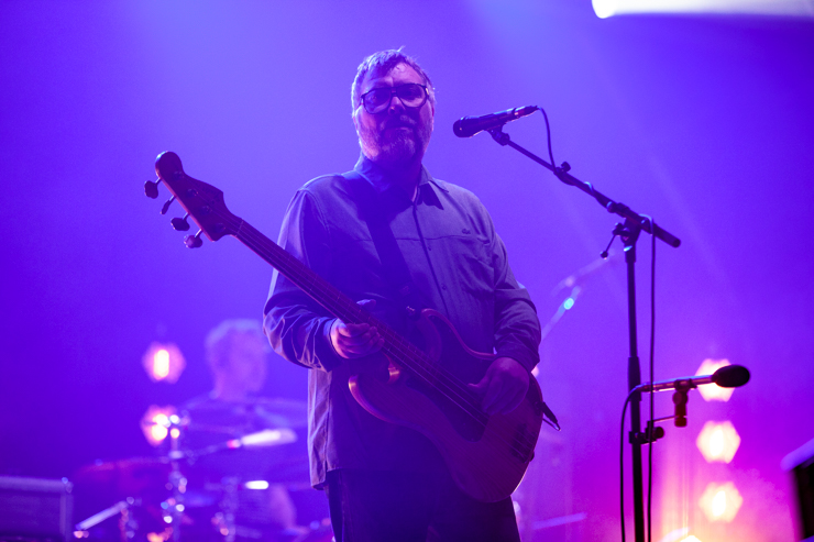 Doves at Brighton Racecourse by Matt Knight, Brighton Source