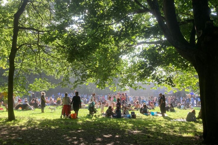 view through the trees from the stage